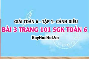 Giải bài 3 trang 101 Toán 6 Tập 1 SGK Cánh Diều